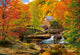 Castorland puzzel herfst - 1000 stukjes legpuzzel volwassenen.