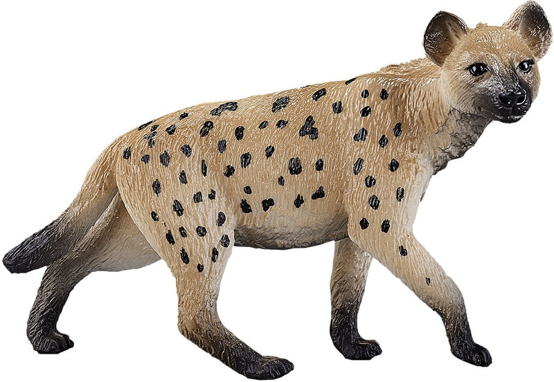 ギャラリービューアに画像をロードする, Mojo wildlife hyena - 387089
