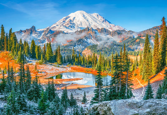 Castorland puzzel mount rainier national park usa 1000 stukjes.