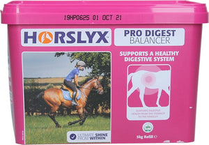 Horslyx mini pro digest - 650 gram - liksteen - ter ondersteuning van het behoud van een normale zuurgraad in de maag - geschikt voor paarden - appelsmaak