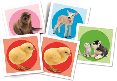 Clementoni - memory voor kinderen - baby dieren - 48 kaarten - memory spel - educatief speelgoed - vanaf 2 jaar