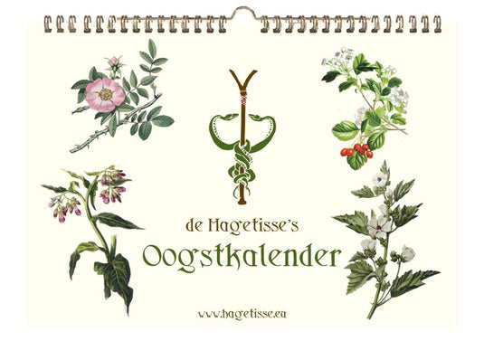 Hagetisse de 's oogstkalender