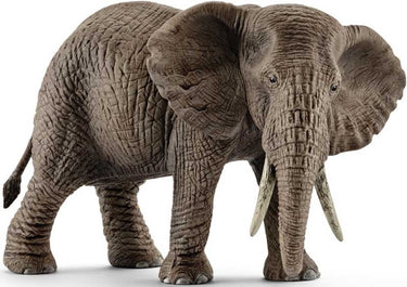 Schleich WILD LIFE Afrikaanse Olifant Vrouwtje 14761