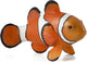 Mojo sealife clownvis - 387090