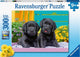 Ravensburger puzzel zwarte labradors - legpuzzel - 300 stukjes