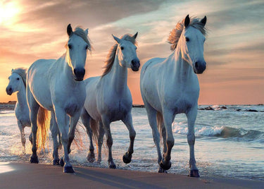 Rebo legpuzzel - 1000 st - horses