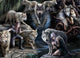 Bluebird puzzle legpuzzel anne stokes wolf collage 1500 stukjes dieren.