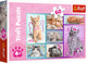 Trefl legpuzzel - schattige katten - 60 stukjes - kleurrijk karton.