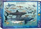 Eurographics - haaien [sharks] - 1000 stukjes 68×48cm (b×h) - legpuzzel