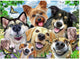 Ravensburger puzzel vrolijke honden - legpuzzel - 500 stukjes