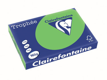 Clairefontaine trophée intens | gekleurd papier | a3 | 160 g | 250 vel | grasgroen