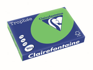 Clairefontaine trophée intens | gekleurd papier | a3 | 160 g | 250 vel | grasgroen