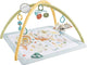 Fisher-price simply senses gym voor baby's - babygym - met speelspeelkleed