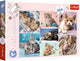 Trefl legpuzzel kattenwereld 100 stukjes karton kleurrijk.