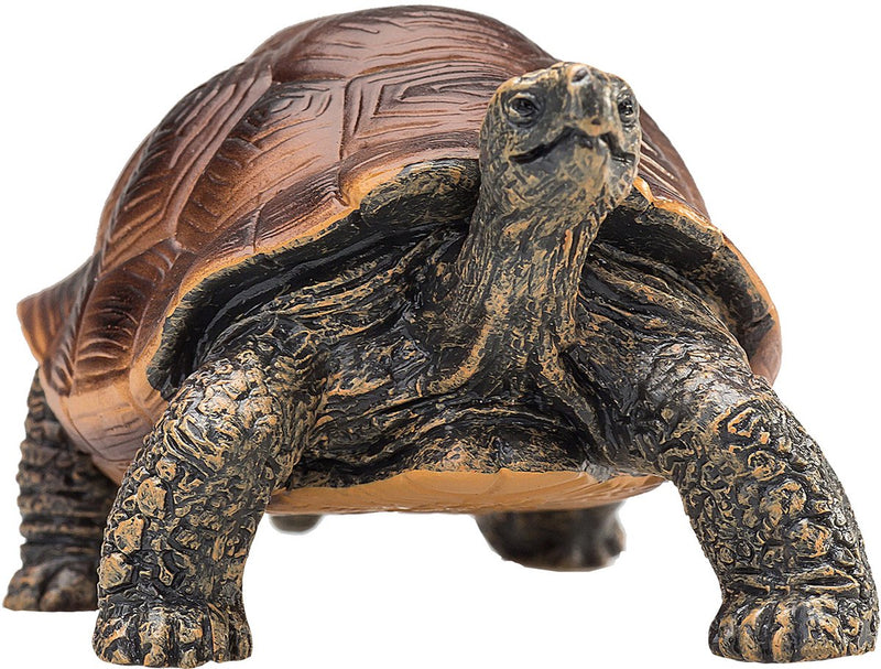 ギャラリービューアに画像をロードする, Mojo wildlife reuzenschildpad - 387259

