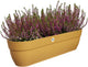 Elho vibia campana easy hanger xxl 70 - plantenbak voor balkon - balkonbak - 100% gerecycled plastic - l69 x b26.8 x h23.7 cm - honinggeel