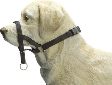 Beeztees dog control - halsband hond - zwart - s