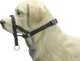 Beeztees dog control - halsband hond - zwart - l