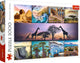Trefl puzzel afrika - 1000 stukjes - legpuzzel collage.