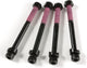Thule yepp bouten maxi m6 x 65