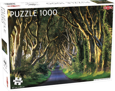 Tactic puzzel dark hedges in northern ireland 1000 stukjes
