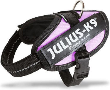 Julius k9 wereld bekende idc powertuig voor tekstlabels roze maat: mini-mini