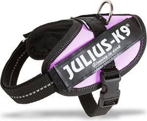 Julius k9 julius-k9 idc®powertuig, 2xs - baby2, roze