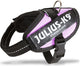 Julius k9 julius-k9 idc®powertuig, 2xs - baby2, roze