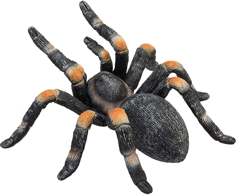 ギャラリービューアに画像をロードする, Mojo wildlife rode tarantula - 387213
