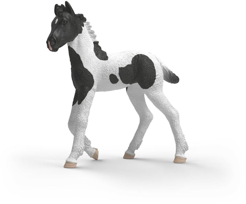 Afbeelding laden in galerijviewer, Schleich horse club verzamelbaar veulen rocky 81481
