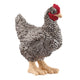 Schleich farm world plymouth rock kip 13997