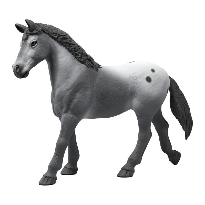 Load image into Gallery viewer, Schleich horse club lisa's toernooi training 42776
