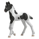 Schleich horse club verzamelbaar veulen rocky 81481