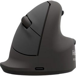 Ergonomische muis fellowes breyta zwart 110 mm x 93 mm x 79 mm