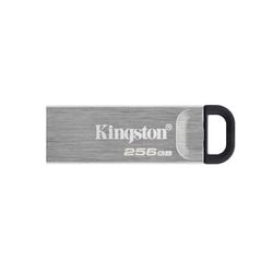 Usb-stick kingston datatraveler kyson 256 gb zilver