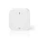 Castreceiver nedis smartlife wifizbt10cwt wit