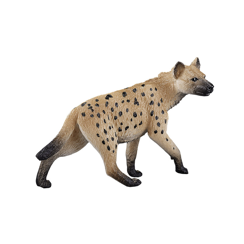 ギャラリービューアに画像をロードする, Mojo wildlife hyena - 387089
