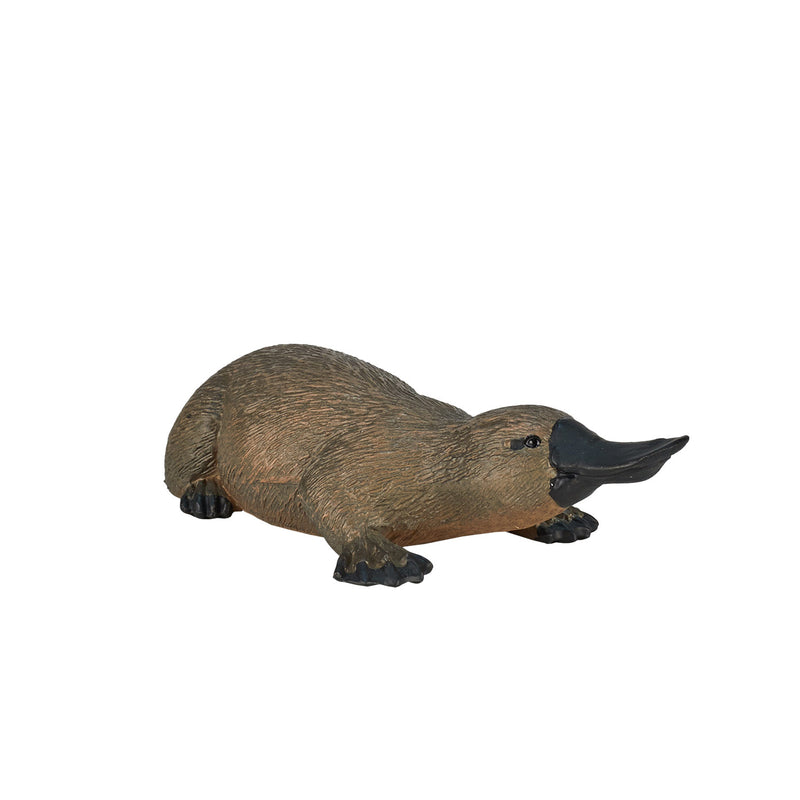 ギャラリービューアに画像をロードする, Mojo wildlife vogelbekdier - 387106
