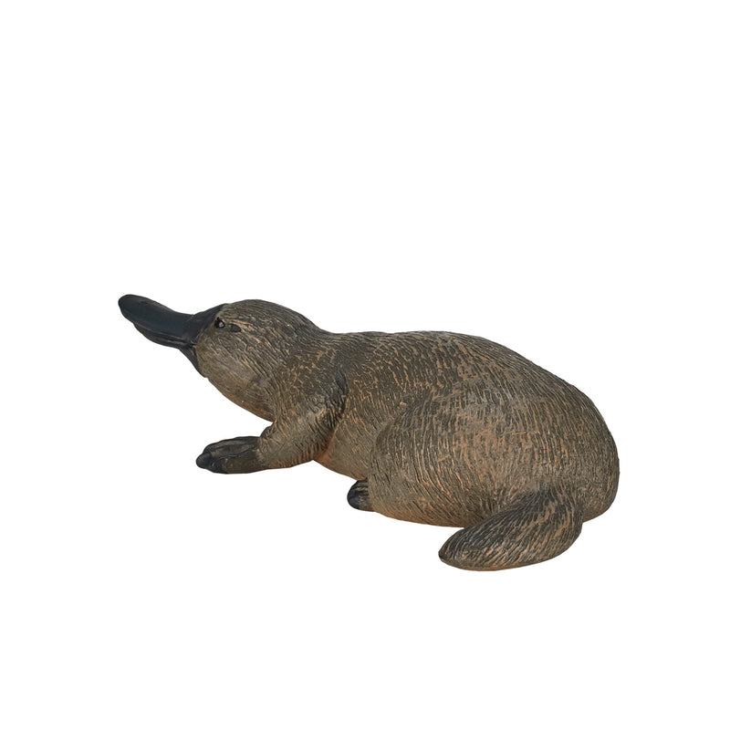 ギャラリービューアに画像をロードする, Mojo wildlife vogelbekdier - 387106
