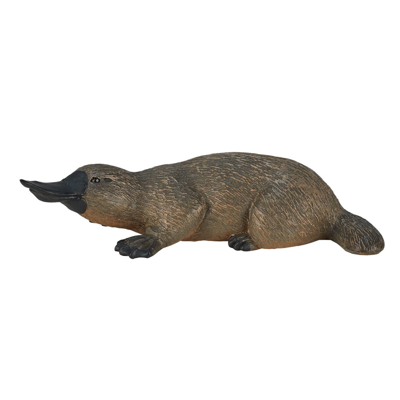ギャラリービューアに画像をロードする, Mojo wildlife vogelbekdier - 387106
