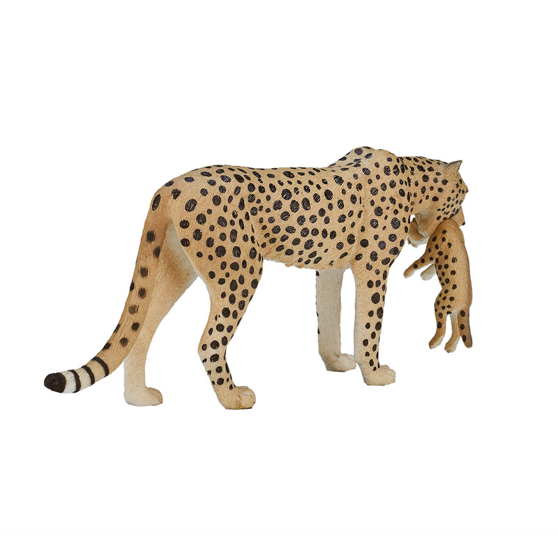 Afbeelding laden in galerijviewer, Mojo wildlife cheetah vrouwtje met welp - 387167
