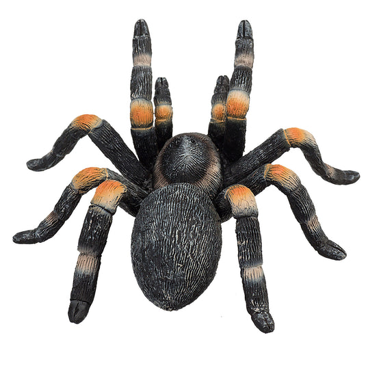 Mojo wildlife rode tarantula - 387213
