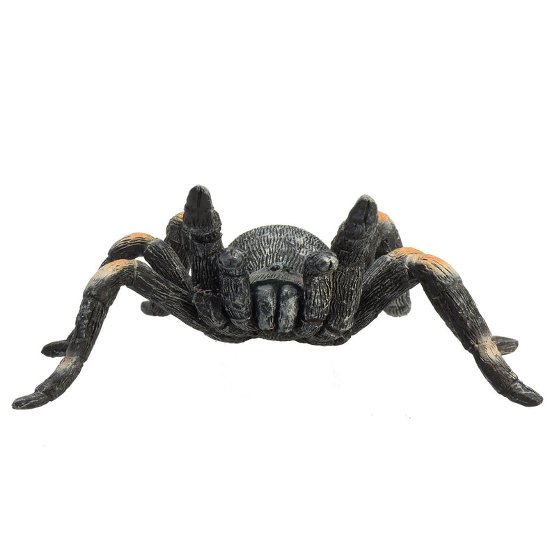 ギャラリービューアに画像をロードする, Mojo wildlife rode tarantula - 387213
