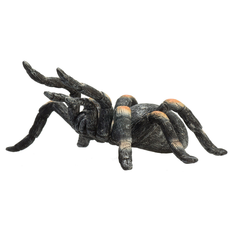 ギャラリービューアに画像をロードする, Mojo wildlife rode tarantula - 387213
