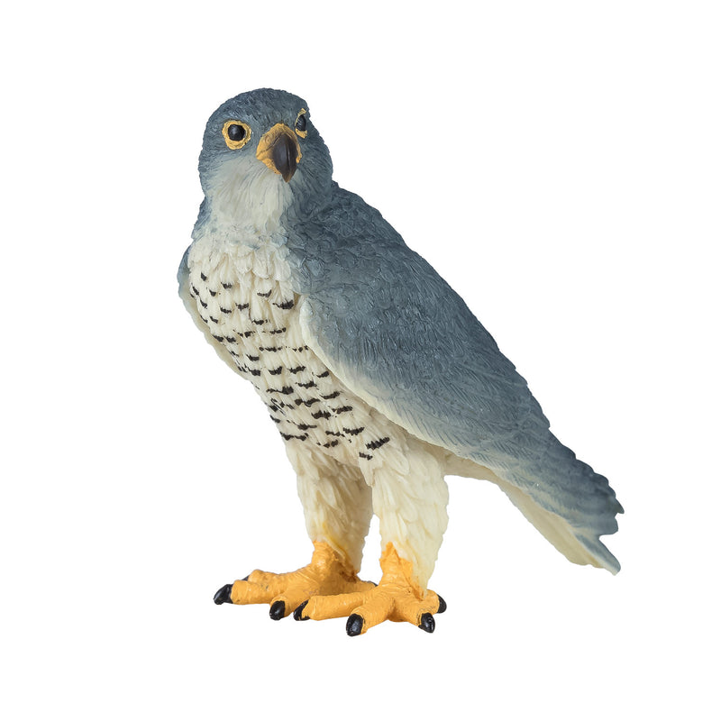 Afbeelding laden in galerijviewer, Mojo wildlife slechtvalk - 381056
