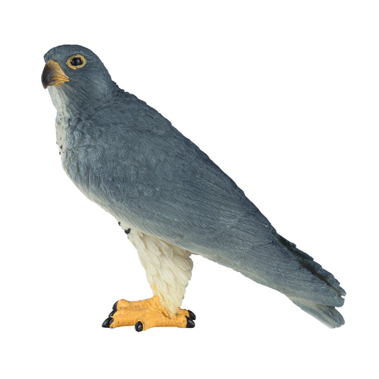 Mojo wildlife slechtvalk - 381056
