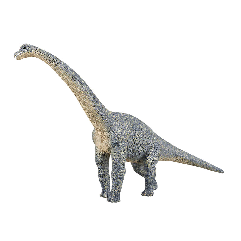 ギャラリービューアに画像をロードする, Mojo prehistorie brachiosaurus - 387044
