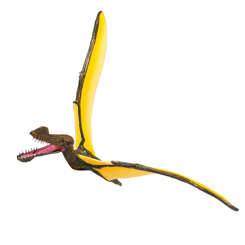 Load image into Gallery viewer, Mojo prehistorie tropeognathus - 387375
