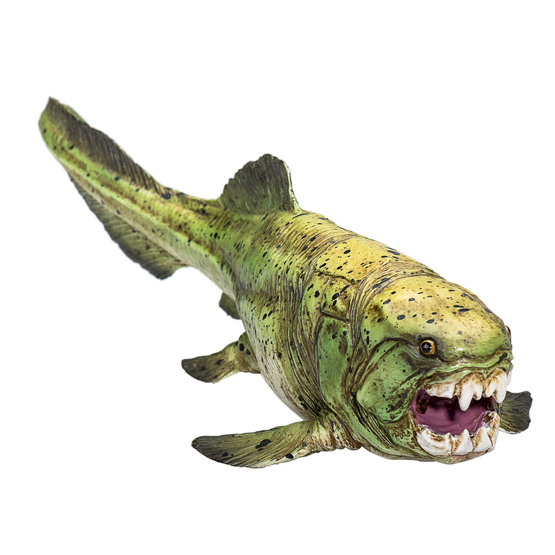 ギャラリービューアに画像をロードする, Mojo prehistorie dunkleosteus - 387374
