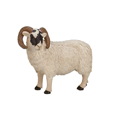 Mojo farmland zwartkopschaap ram - 387081